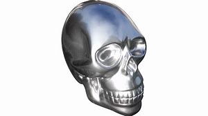 crane_resine_argent_l_24x18x20cm__24x18x20cm_