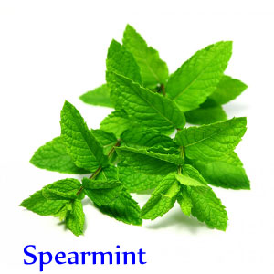 e__lliquide_0mg_spearmint421cbabf