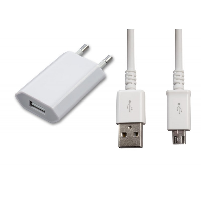 home_charger_220v_micro_usb