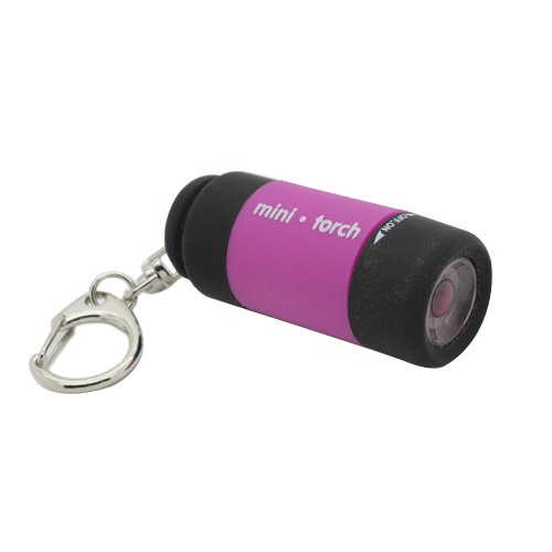 mini_torch