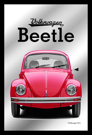 mirror_beetle_l_439