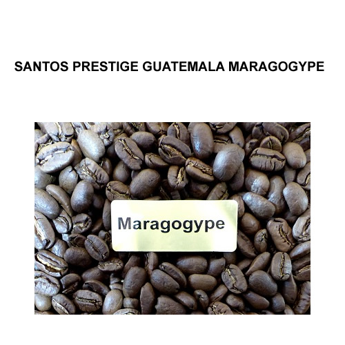 santos_prestige_guatemala_maragogype